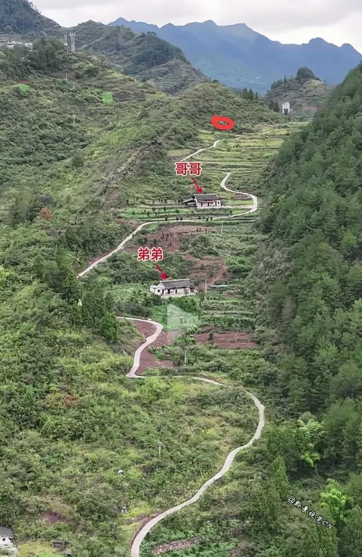 怎么没有一家住这里…