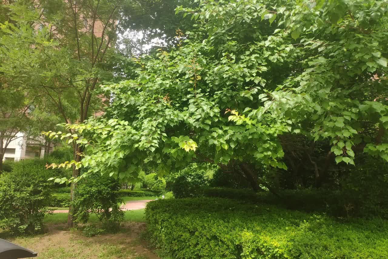 遇事能做到不愠不怒，说起来容易，做起来难。

街面店现在面临的问题都是没处停