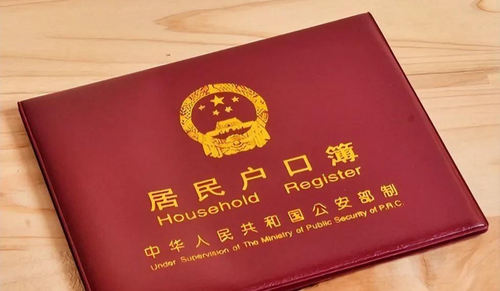 安徽合肥，一男子为了方便陪儿子出国留学，加入了外国国籍。可男子回国后不久发现，其