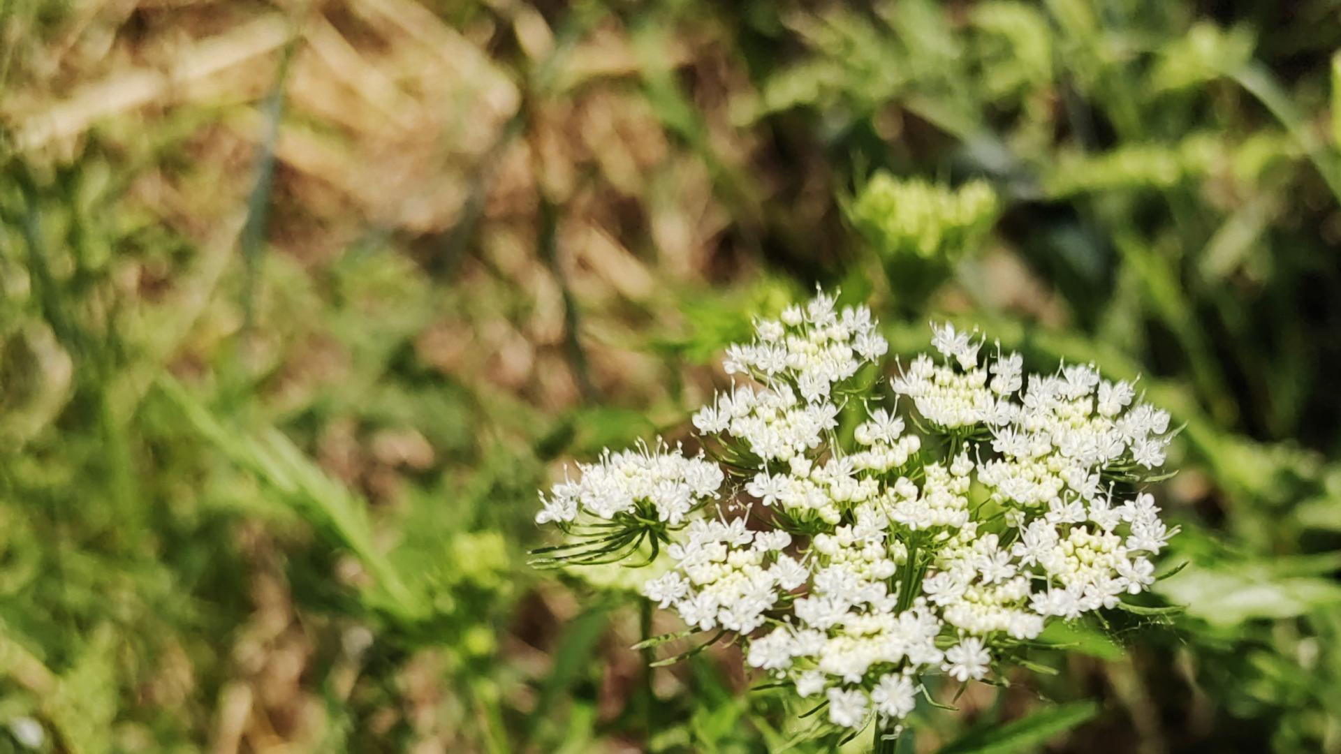 人在职场：“人生识字忧患始”？