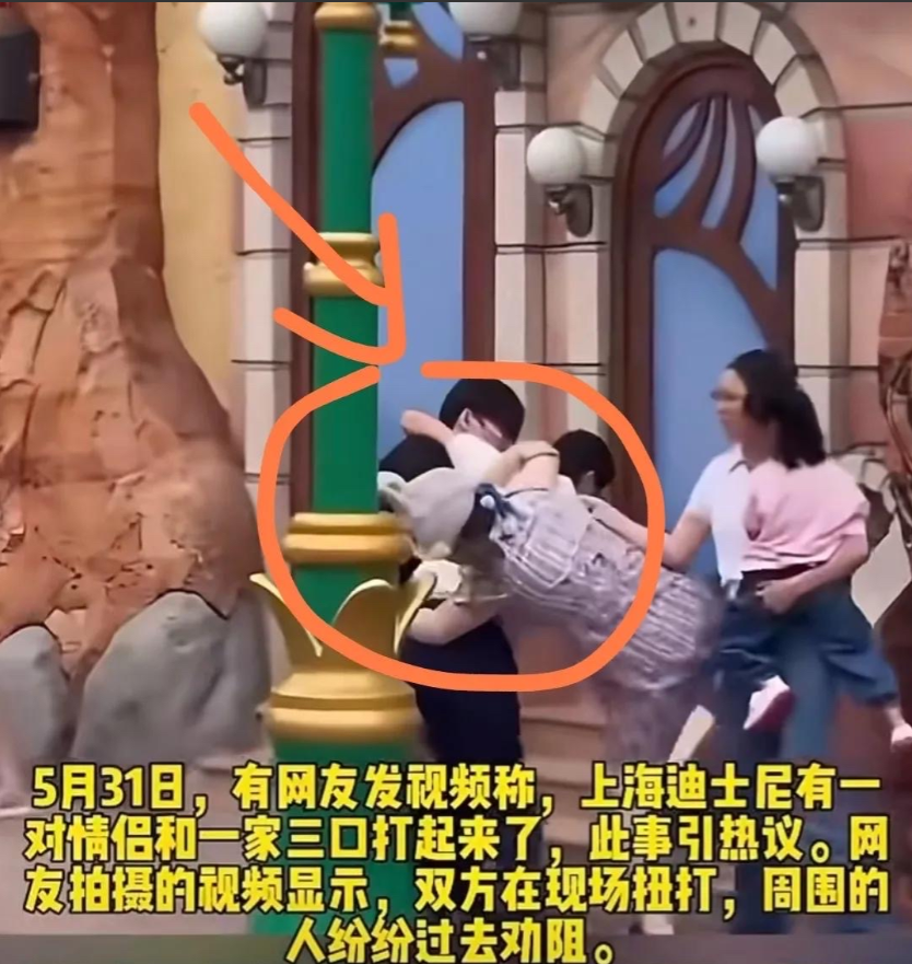 上海迪士尼打人事件终于出通报了！这件事的起因说起来特别匪夷所思。 原来，一个小女