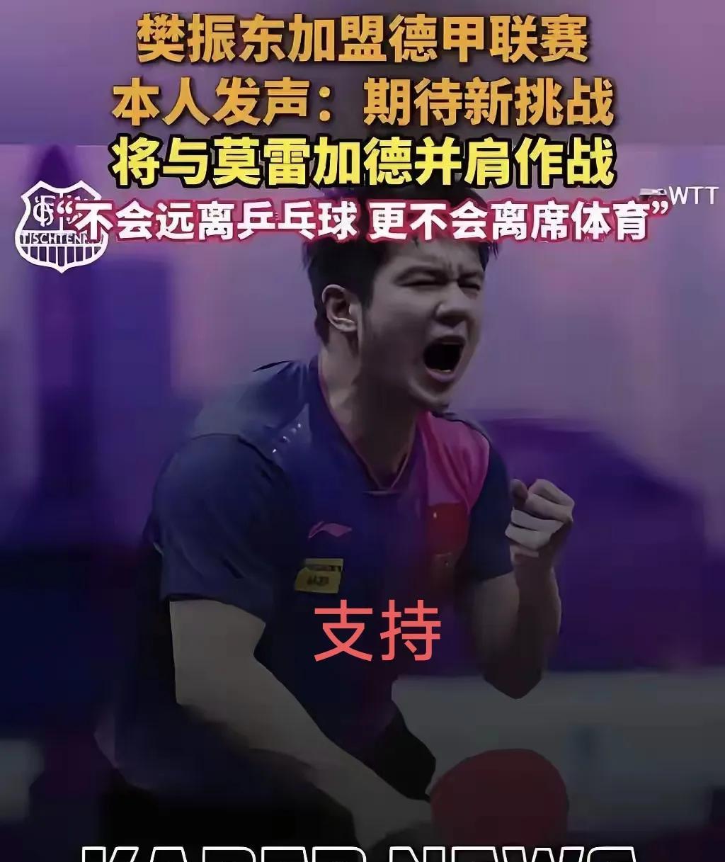 这两天关于樊振东加上德国甲级俱乐部的事情，网上讨论很热烈，有支持的也有反对的，而