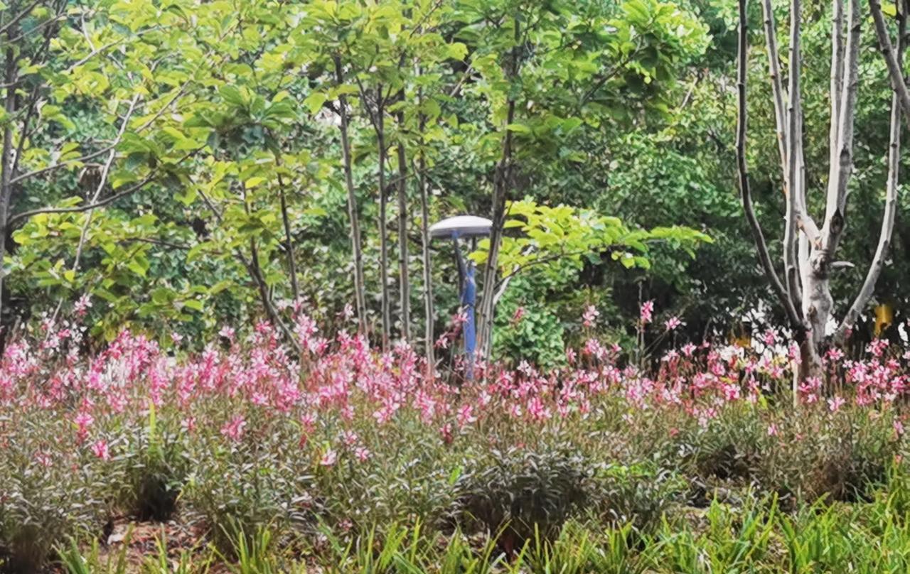 高考不是终点，而是人生的新起点，全力以赴的你，无论结果如何都值得骄傲！
[玫瑰]