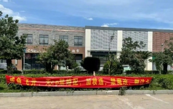 王鹤棣《咸鱼飞升》的阵仗很大