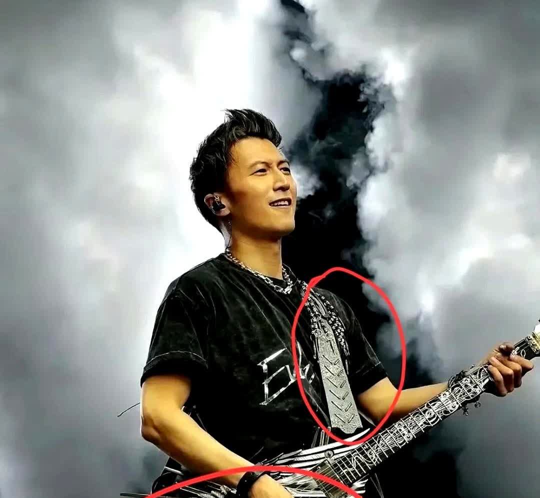 我的天啊，真是贫穷限制了我的想象力！

我以为谢霆锋演唱会

抱着的那个