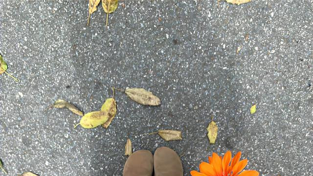 【天秤座3月25日运势解析：平衡与机遇并存的一天】