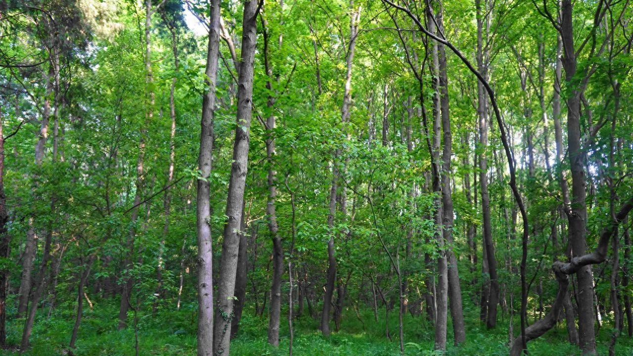 端子线加工：赋能电子连接的核心优势解析