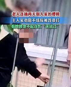 “为老不尊！”近日，辽宁，一位88岁老太到邻居家里偷樱桃，吃几个就算了，没曾想，