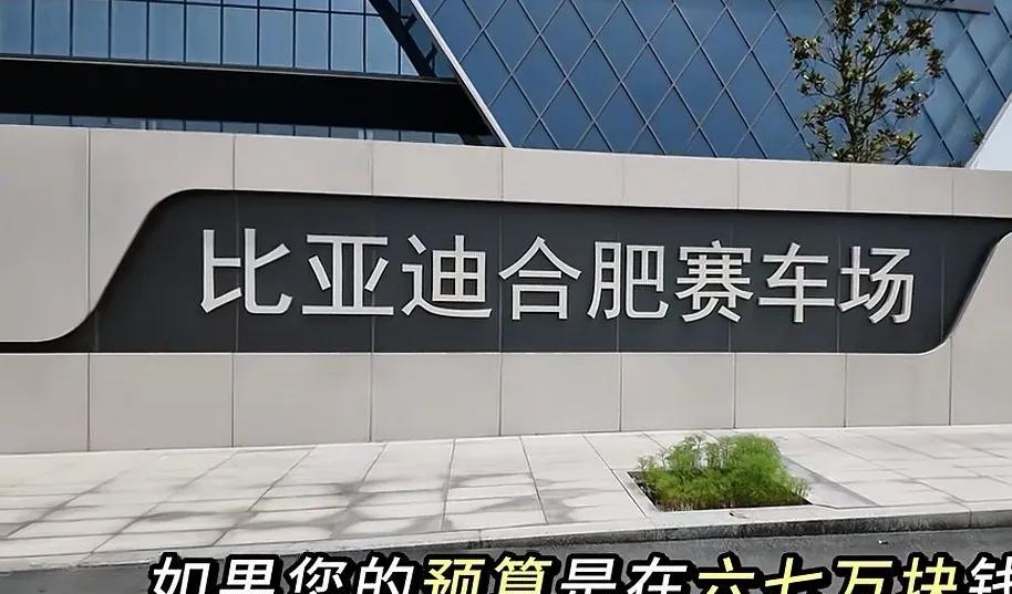 天啦噜，6.98的海鸥都能aeb刹停了，竟然还有自动泊车。[泣不成声]
近日，在