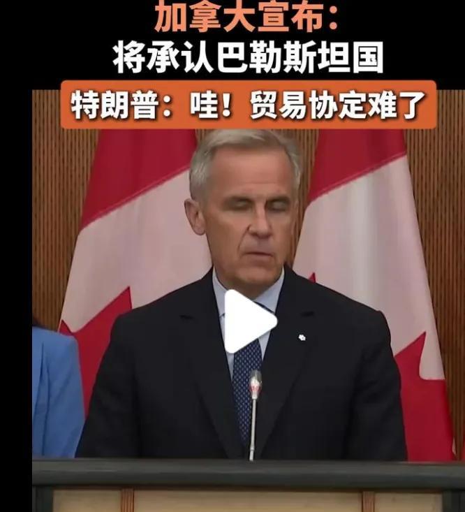 近日不少西方国家宣布承认巴勒斯坦国，
但特朗普威胁加拿大，
如果加拿大承认巴勒斯