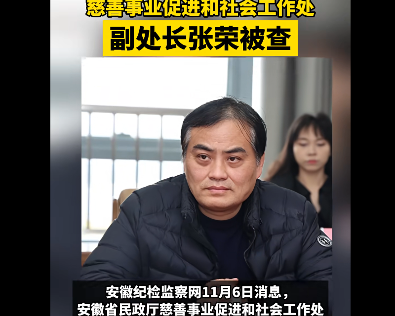 慈善名捕张荣落马：台前冠冕台后贪