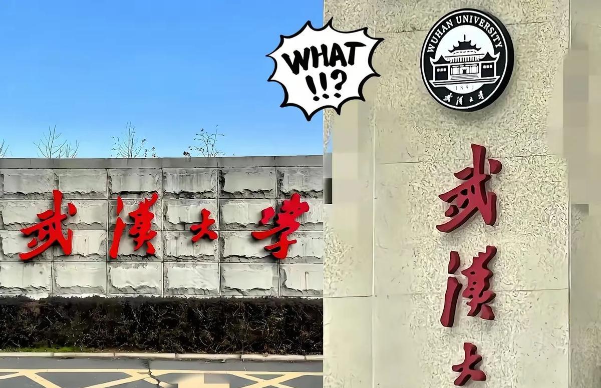 一张法院的判决书，把武汉大学推上了火山口。
这纸判决，直接给校方之前的一次“性骚