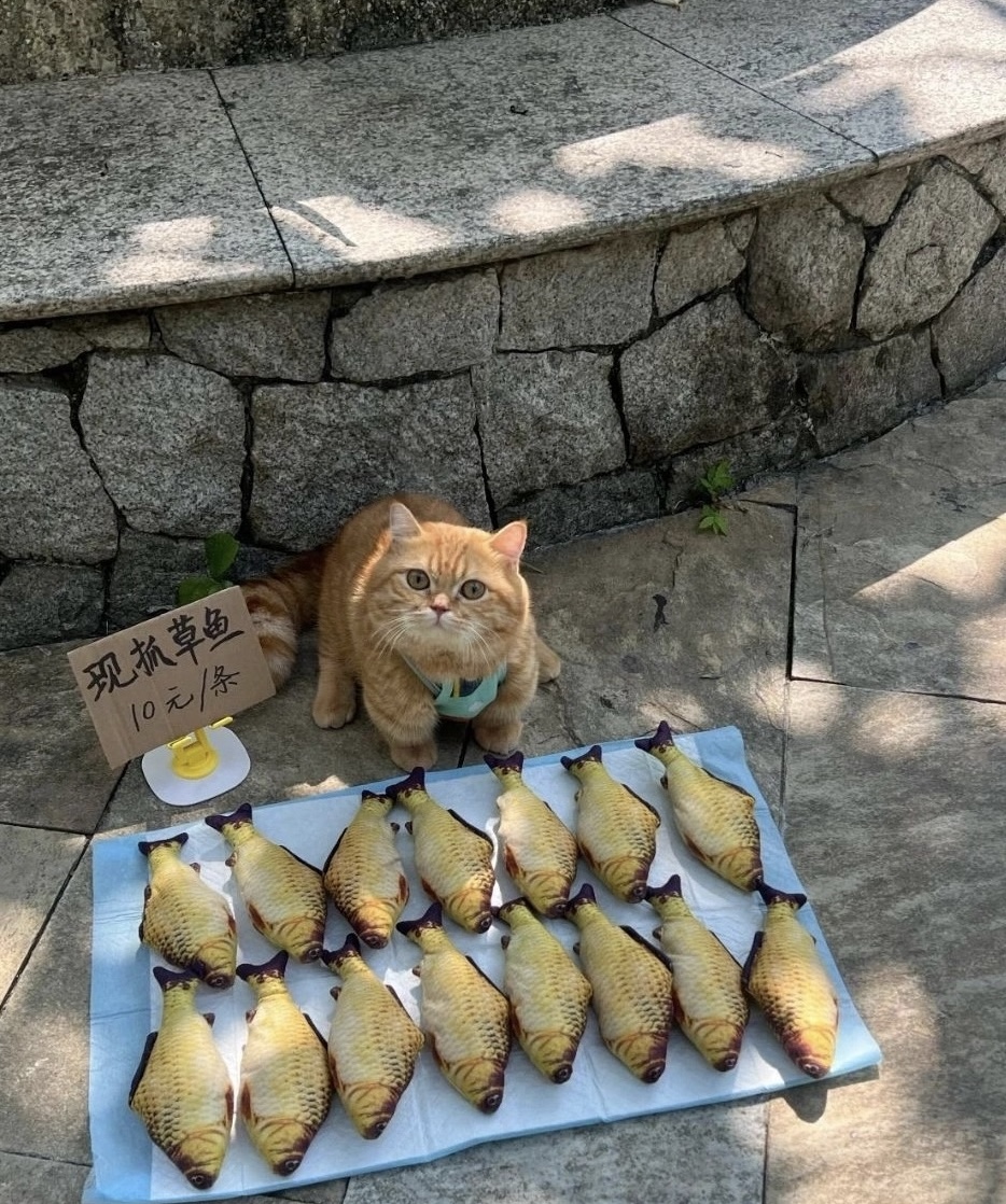 摆摊养家糊口