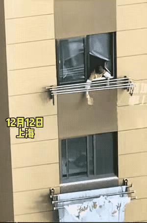 摊上这么个邻居倒霉死了！果然人的坏不分年纪大小[捂脸]