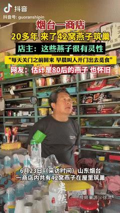 太有灵性了！山东，一商铺内有42窝燕子在屋里筑巢，换做其他人可能会把燕窝捣掉，但