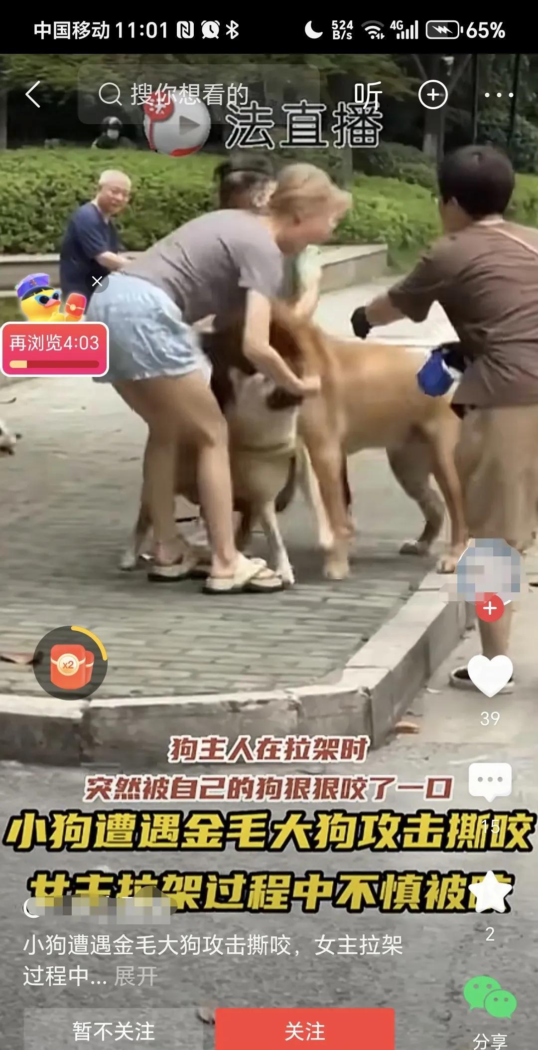 狗咬狗，女子护狗心切徒手拉架被咬伤。
真是孝心满满啊，可是怎么能徒手打狗呢？必须