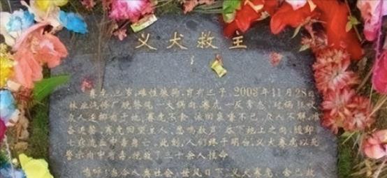 2003年，江西九江一维修厂内，养了三年多的看门狗，极力阻止众人吃狗肉，看到大家