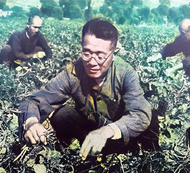 这是国军高级将领，黄埔一期高材生，蒋中正的得意门生杜聿明在田地里劳作。杜聿明的家