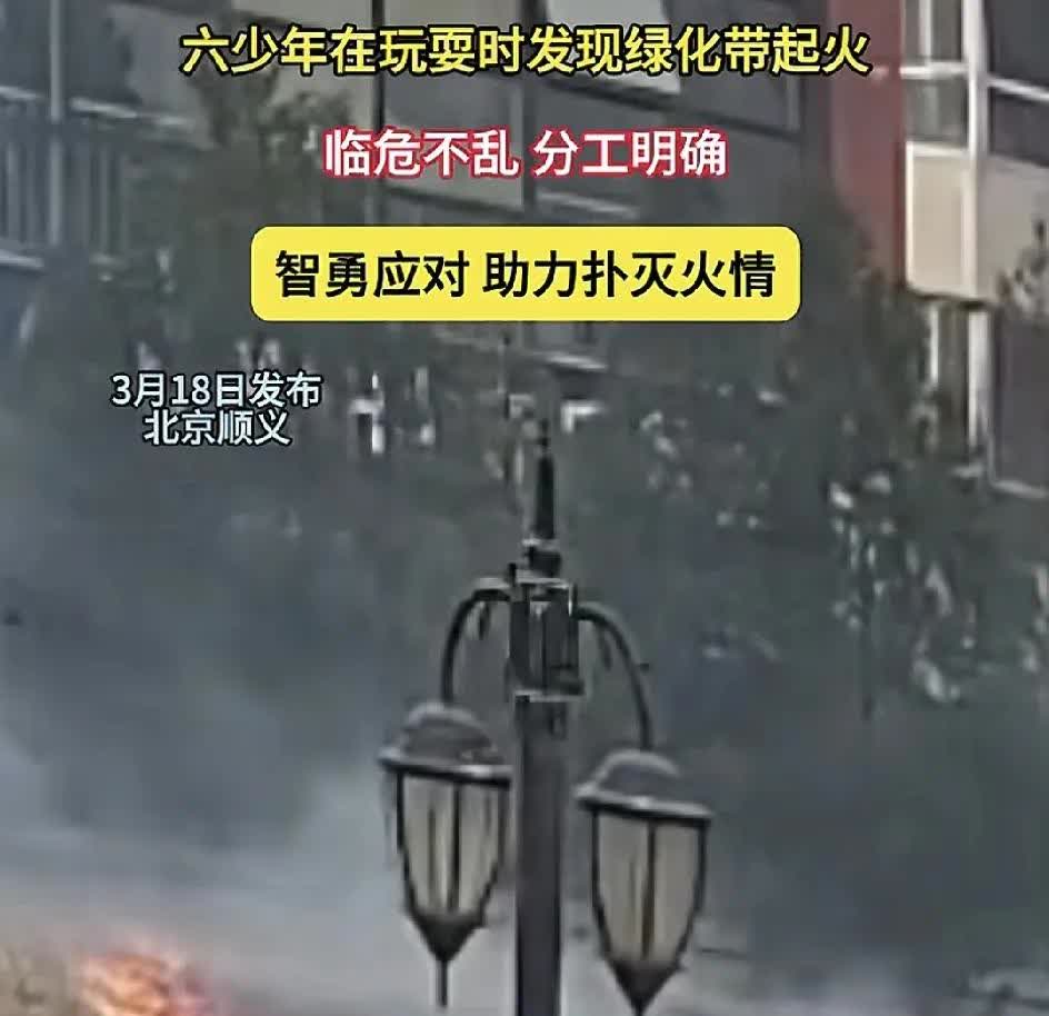3月18日，北京顺义一小学6名小学生在草坪上玩耍时发现绿化带着火了，于是他们各自
