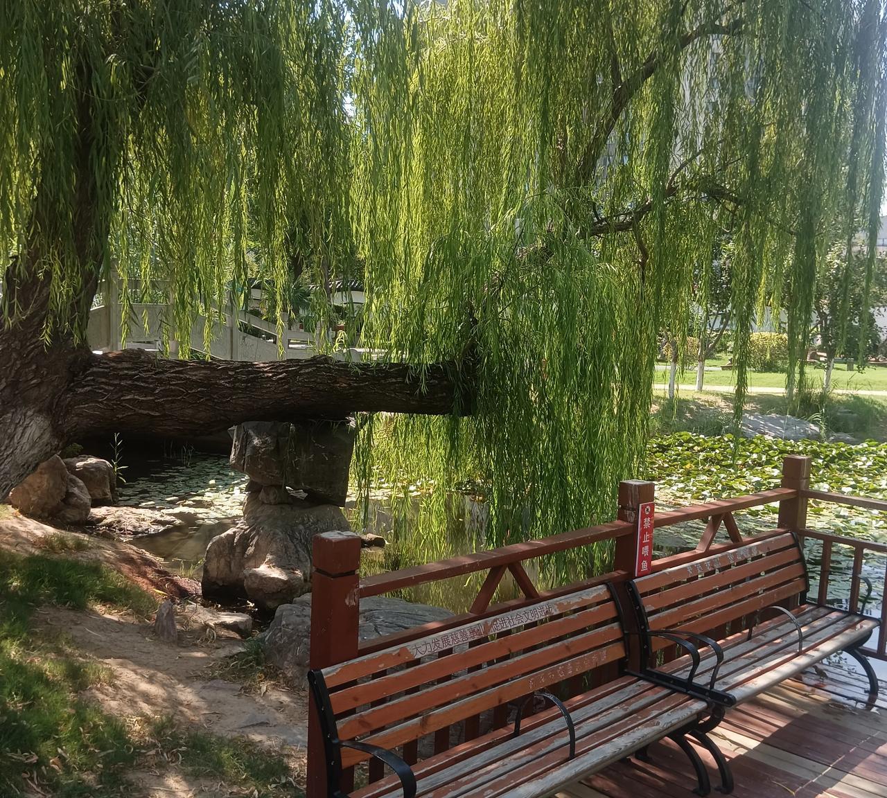 唉！有件事儿，我都不知道该咋说，反正心里特别不是滋味！
6月份我孙女吃喜面，事后