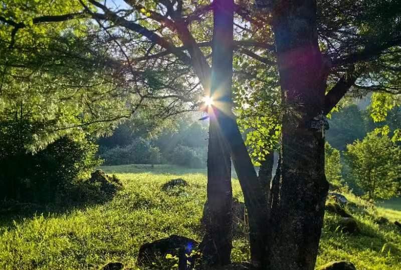 史铁生在《我与地坛》中说：“但是太阳，它每时每刻都是夕阳也都是旭日。”
下午4点