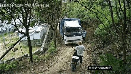 人没事、车没事、房屋没事、花花草草也没事，真是好运气！