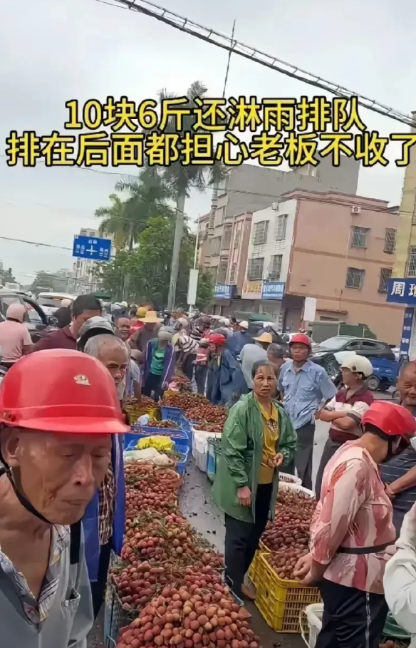 中间商赚的也太狠了吧！

荔枝收购价才10元6斤，平均1.3元一斤，而且都是质量