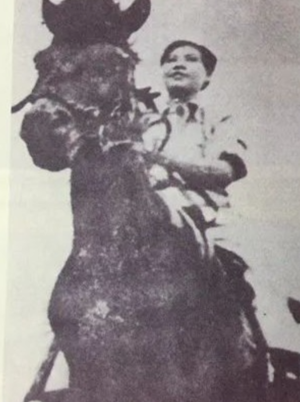 1940年，双枪李林被日军被围困于小郭家村荫凉山顶，在腿部和胸部多处负伤后，仍英