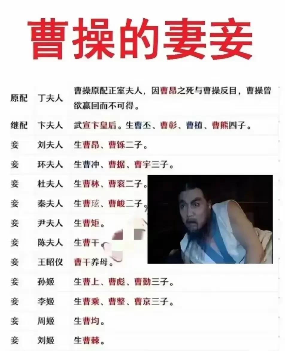 大丈夫生于世间，当如曹操[灵光一闪]