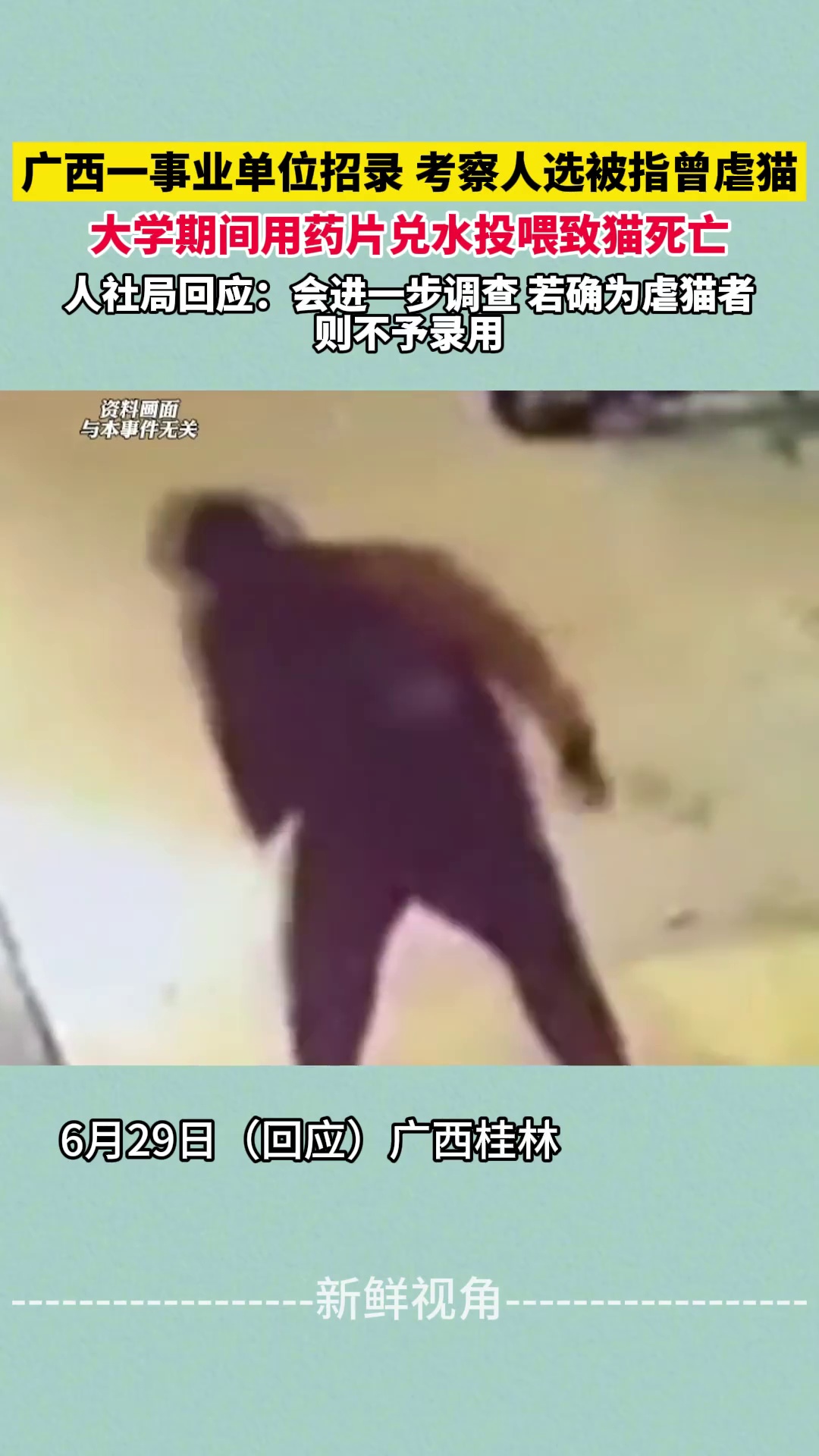 广西一事业单位招录 考察人选被指曾虐猫 人社局回应