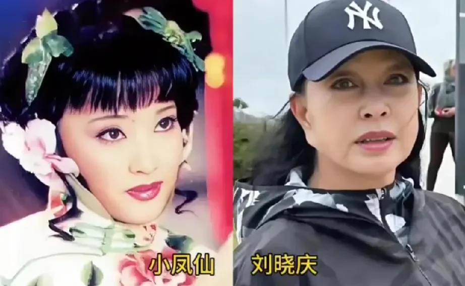 1998年电视剧《逃之恋》演员今昔变化！