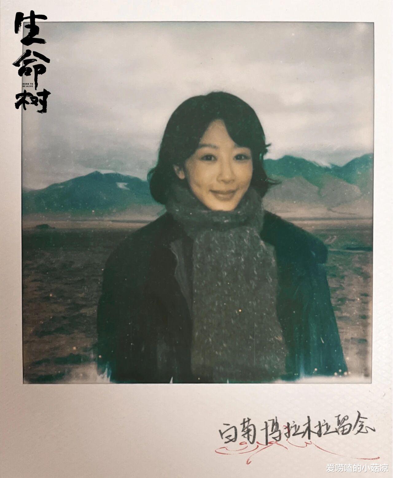 杨紫新剧换男主、赵露思换东家？庄达菲医疗剧、戚薇李承铉翻车？