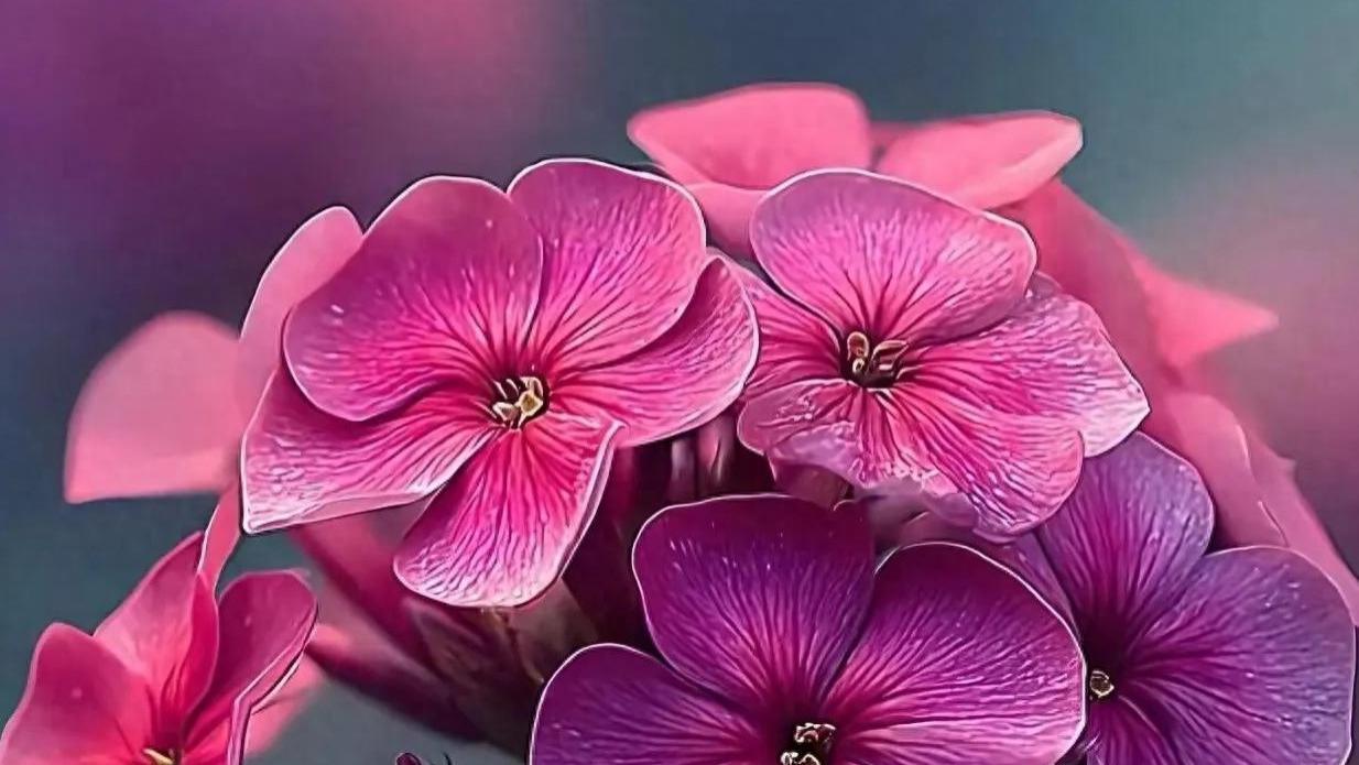 在知足中寻得心安，于岁月里觅得自在，才是对自己的成全