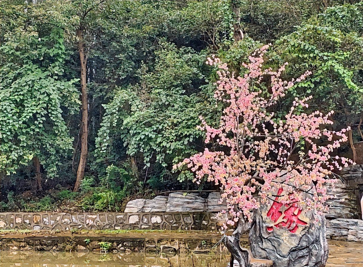 大课间，操场散步，遇到陈老师，我们边走边聊。
聊到职称时，陈老师不禁长叹一声，带