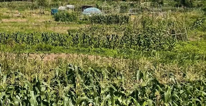 以色列打医院，自己挨打就喊疼？











这世界咋回事？以色列炸加沙
