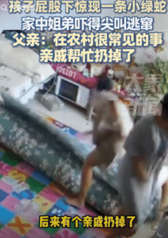 这是真吓人！河北邢台，姐弟3个在家里睡午觉，醒来后准备把地铺卷起来，谁料，姐姐余