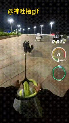 争气的狗狗：最后一个跑，其他狗狗载着主人已经提前跑了，狗狗穷追不舍，虽然最后一个