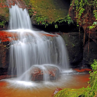 阳泽晨曦说车呀