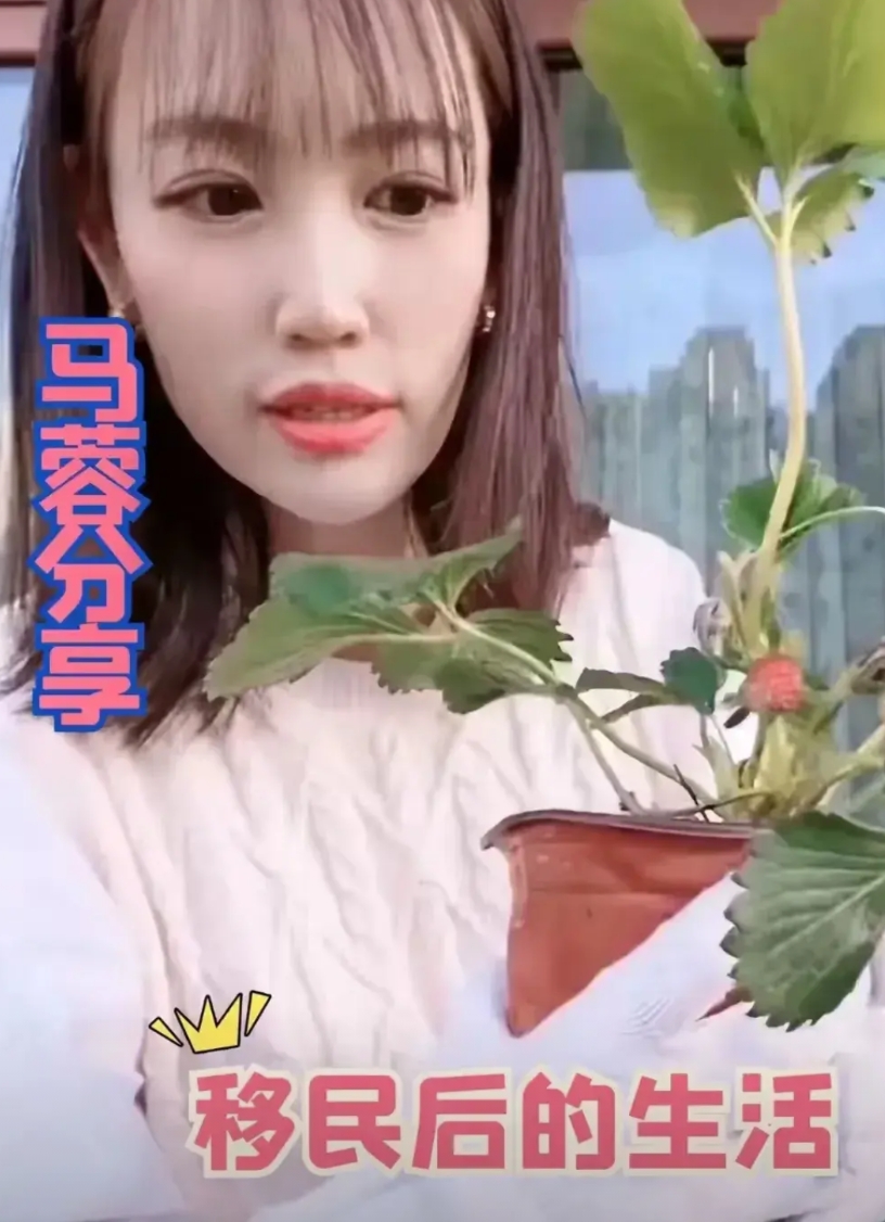 王宝强前妻马蓉竟然移民澳大利亚了！

难道是被骂狠了，国内待不下去了！按爆料，她