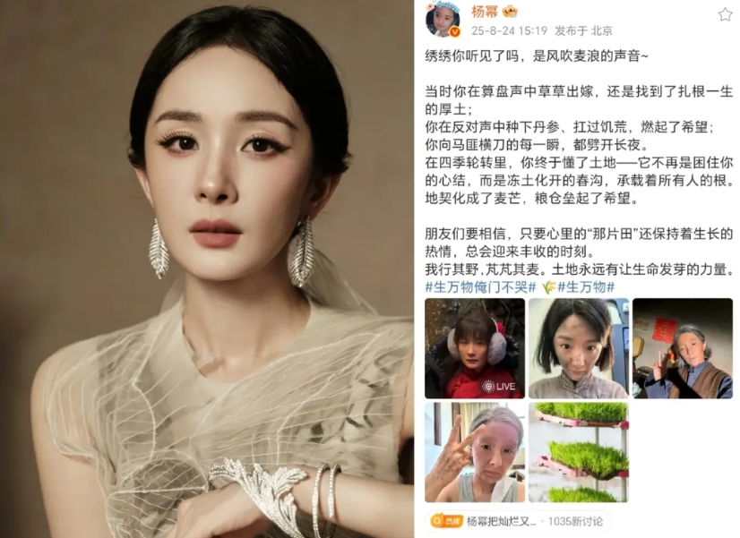 演员最后拼的，真的是文化底蕴！

不信你看杨幂，她用实力打了多少人的脸，又被她的