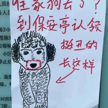 看到招领启示：这谁呀，怎么能把狗子画的这么丑！
看到真狗后：这一定是哪位流落民间