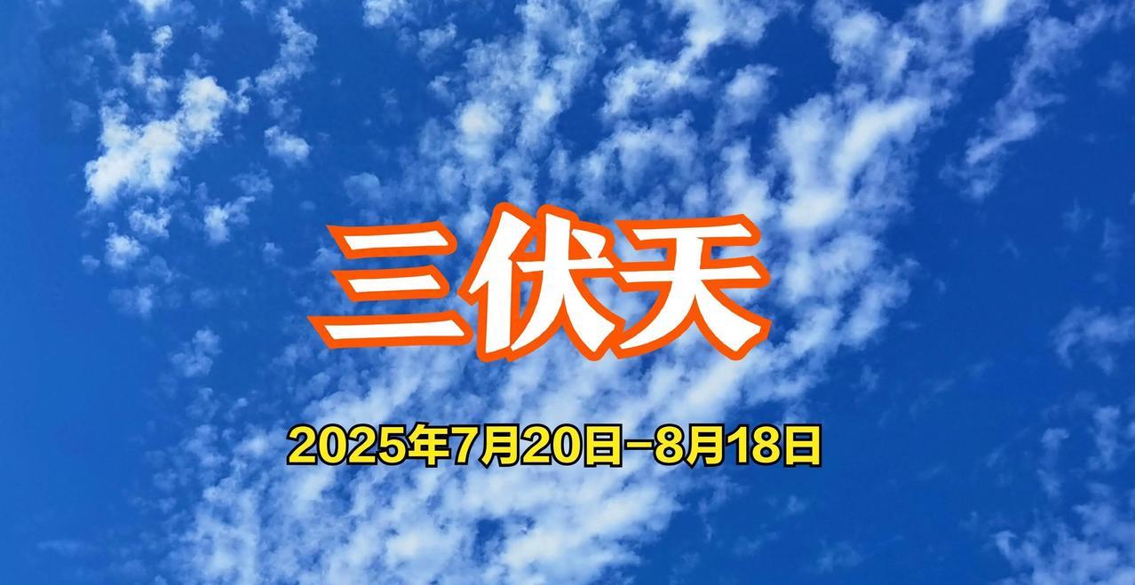 今日入伏，正式开启三伏天，按老传统，入伏要吃饺子。
这可不只是口腹之欲，里面藏着