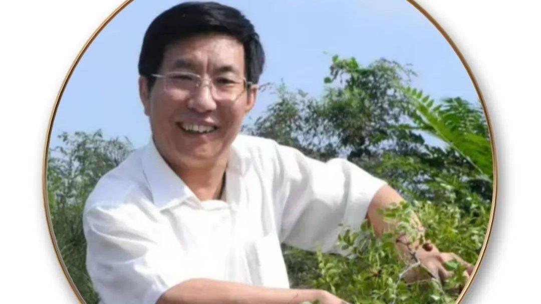 一代书画名家——刘乐平