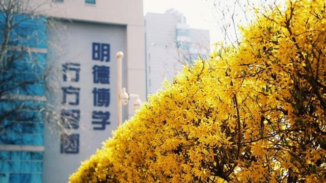 谁说河北没有985大学？揭秘河北省唯一一所211高校