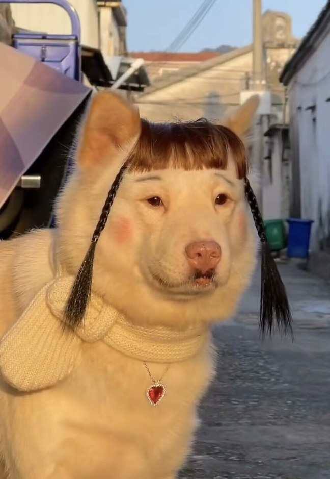 到底是哥哥还是妹妹呀