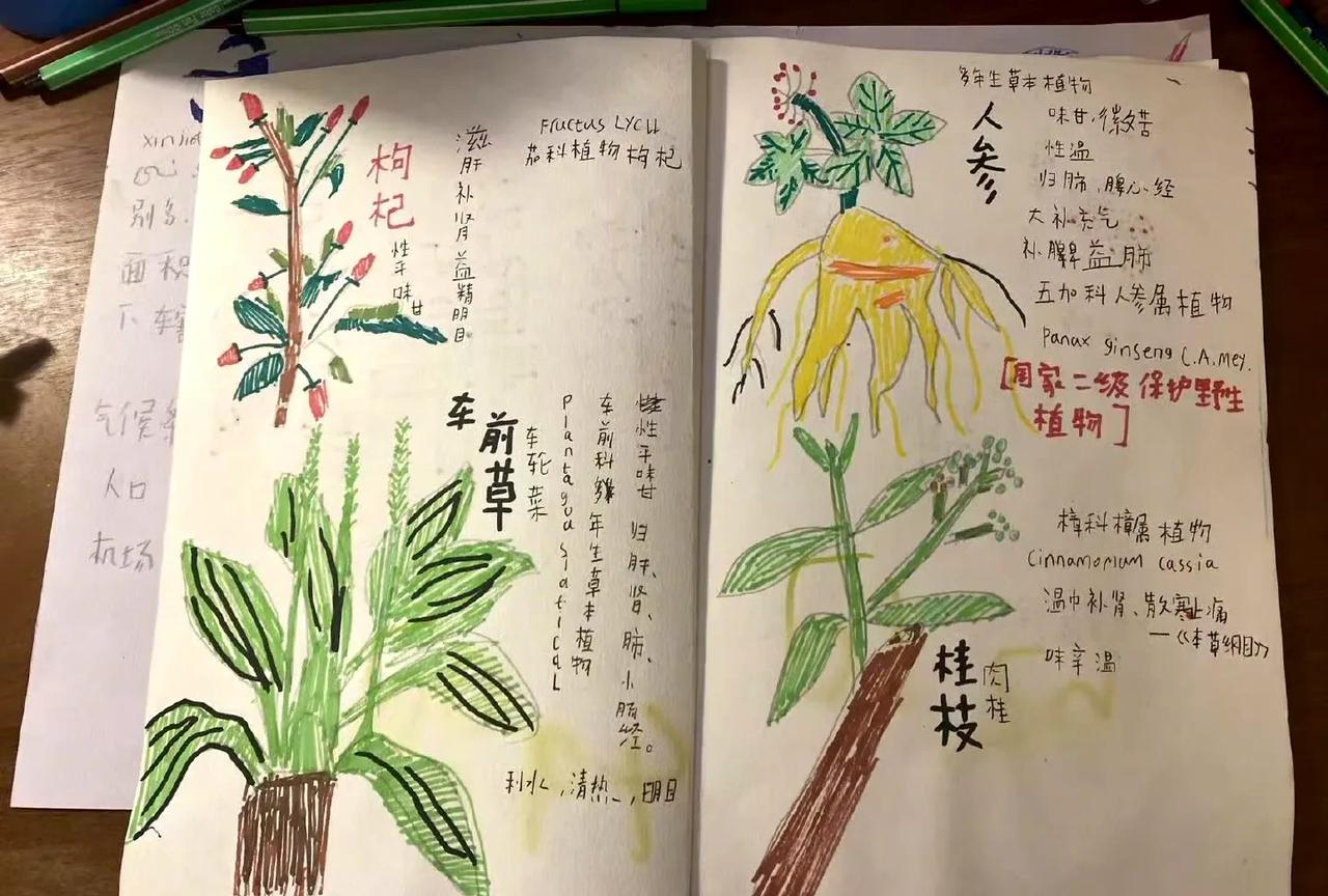 姚晨发文表示后半生的养生就靠儿子了。
并晒了一些儿子的中草药漫画手稿，你还别说，