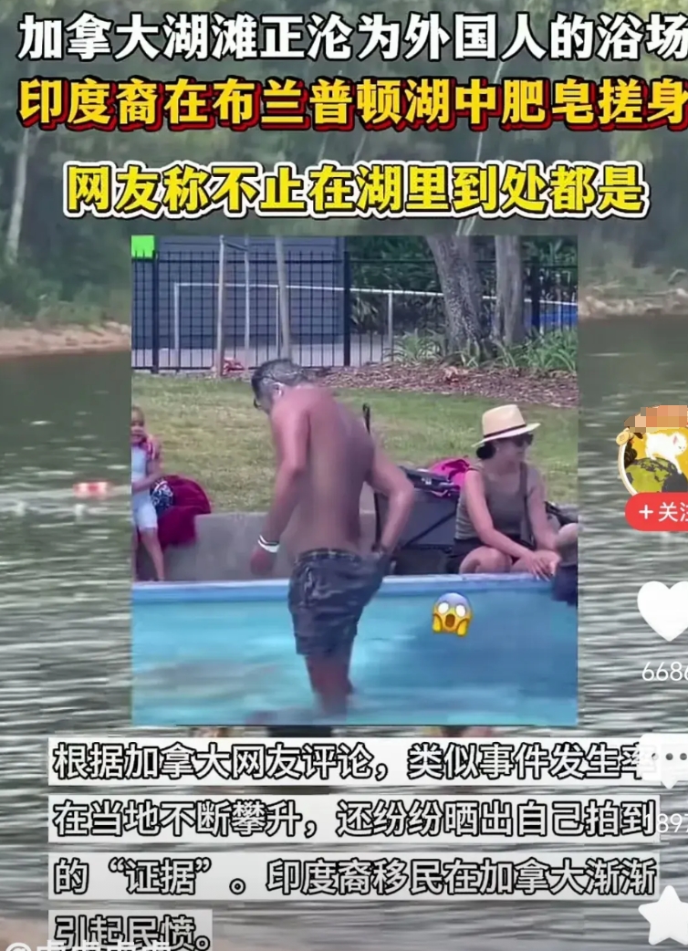看到视频，说加拿大湖滩正沦为印度裔的浴场，在布兰普顿湖中印度裔肥皂搓身，网友说不