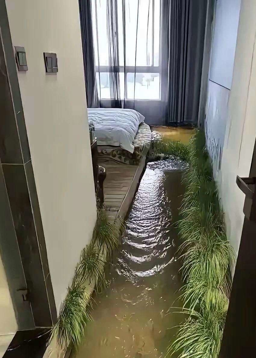 这就是真正的民宿吗