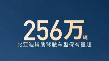 单月销量近 20 万！比亚迪天神之眼让全民智驾照进现实