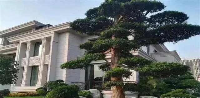 河北一男子明知女下属是军嫂仍与其租房同居，法院如此判罚
军婚受到法律的特殊保护，